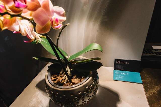 Отель Noble Boutique Hotel Луцк-26